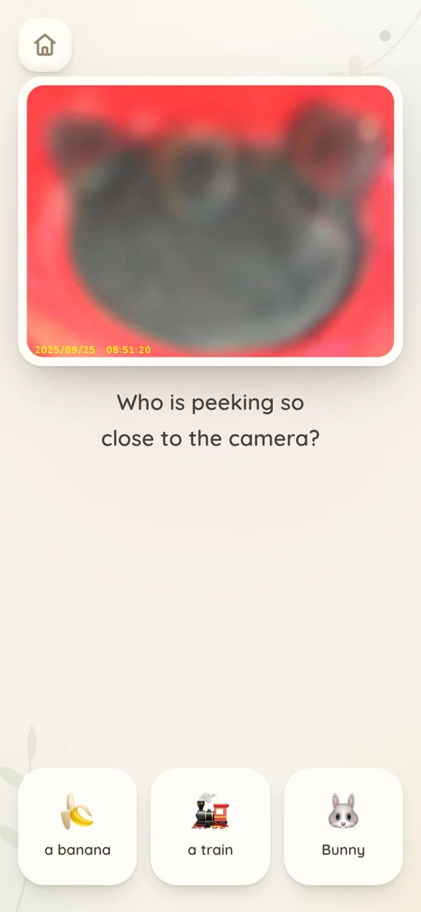 Mystery mode asking who is peeking so close to the camera, with three thumbnails to choose from